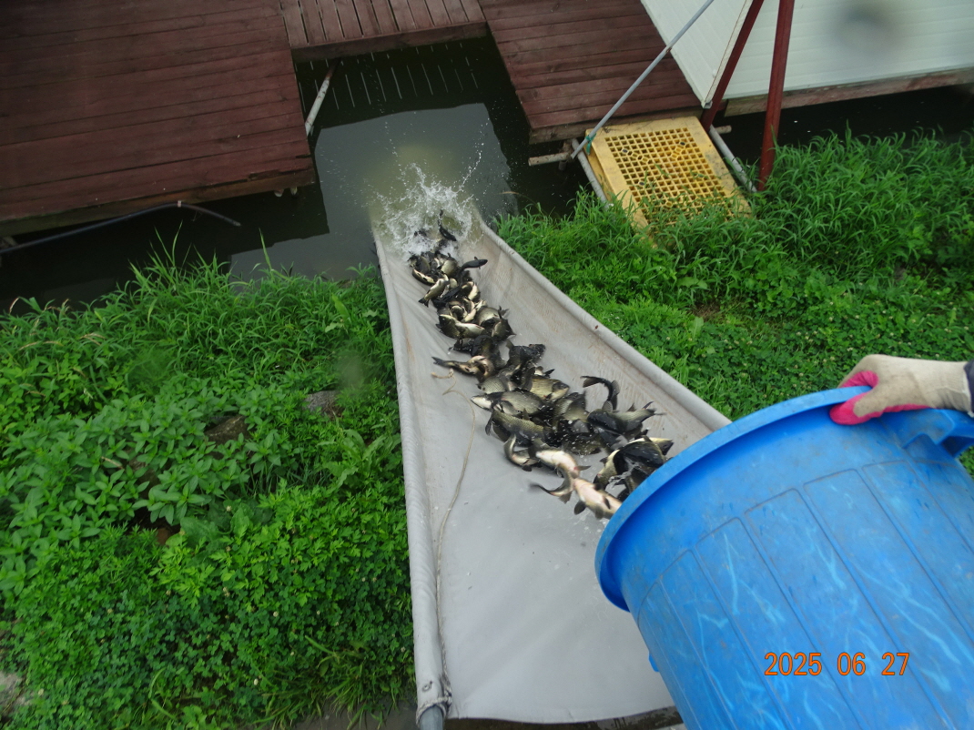 DSC03874.JPG
