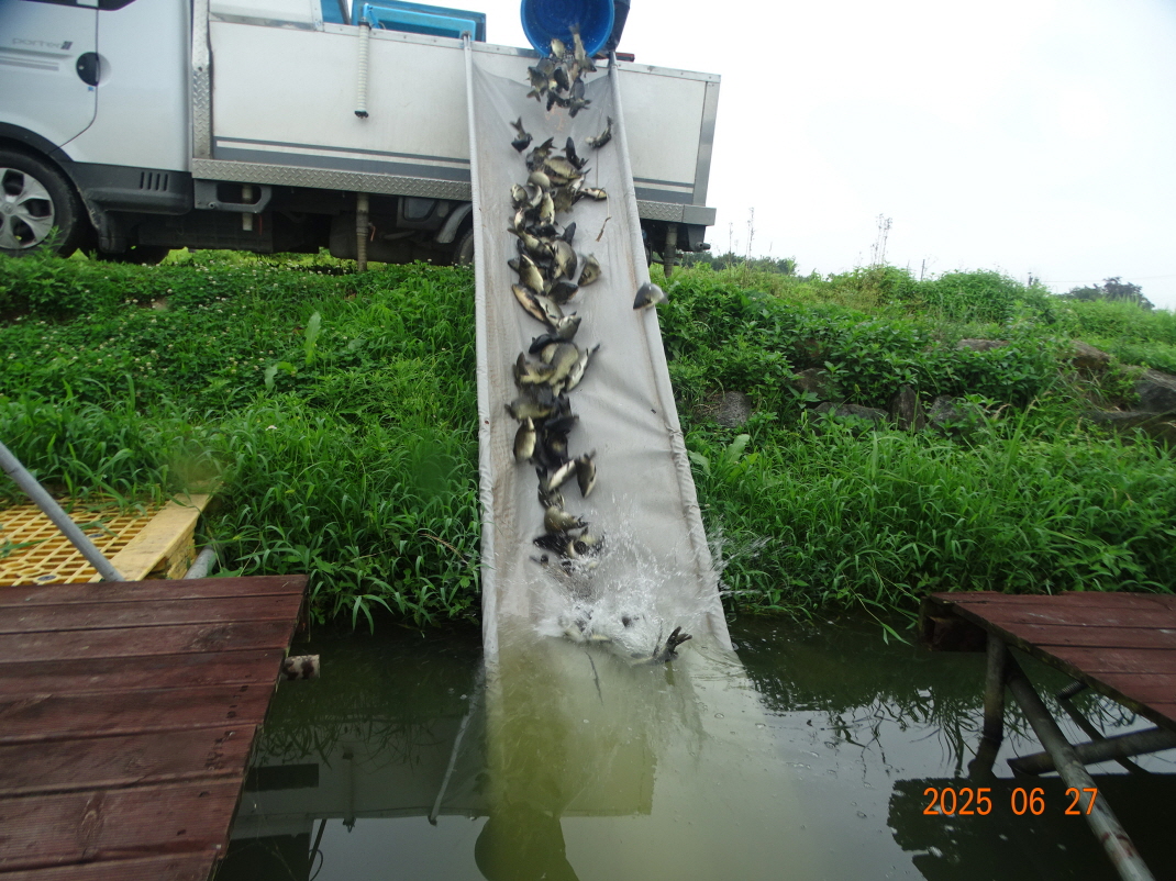 DSC03880.JPG