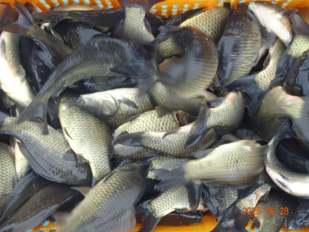 DSC03912.JPG