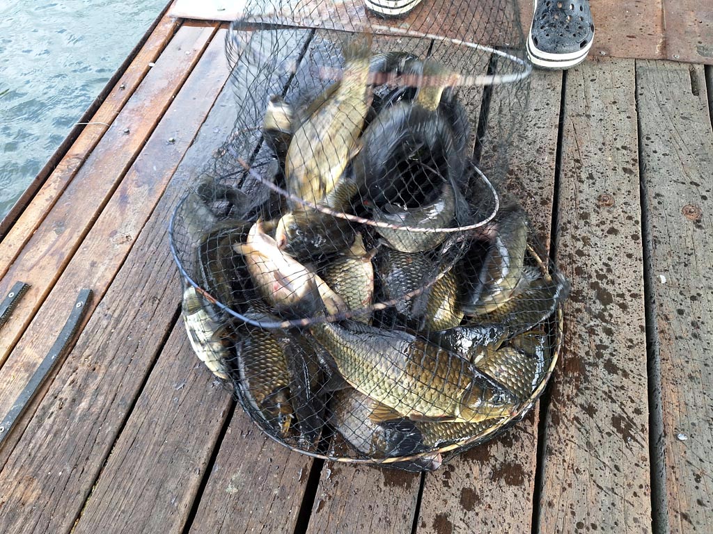 KakaoTalk_20250629_084815005_13.jpg