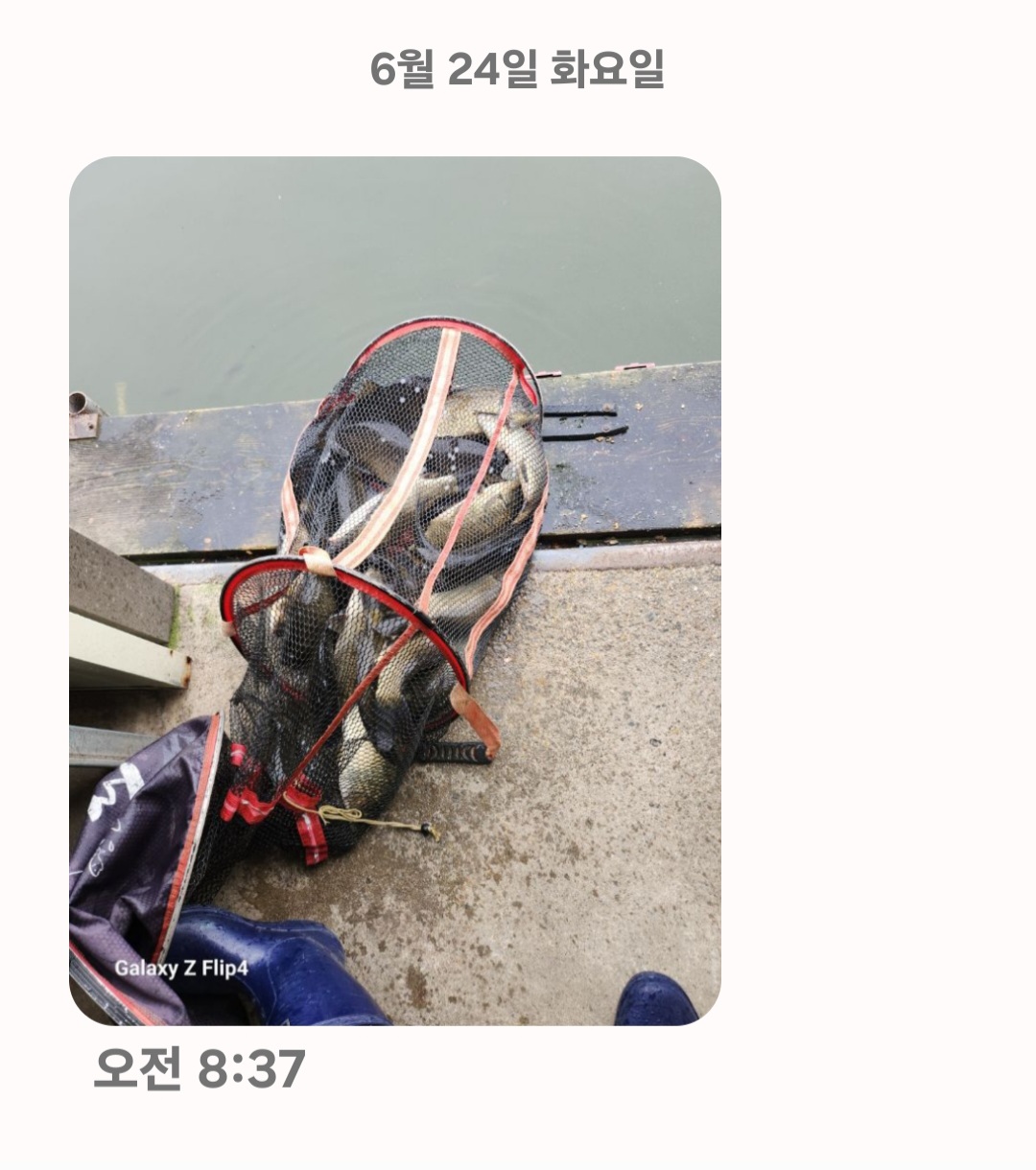 Screenshot_20250624_090039_Messages.jpg