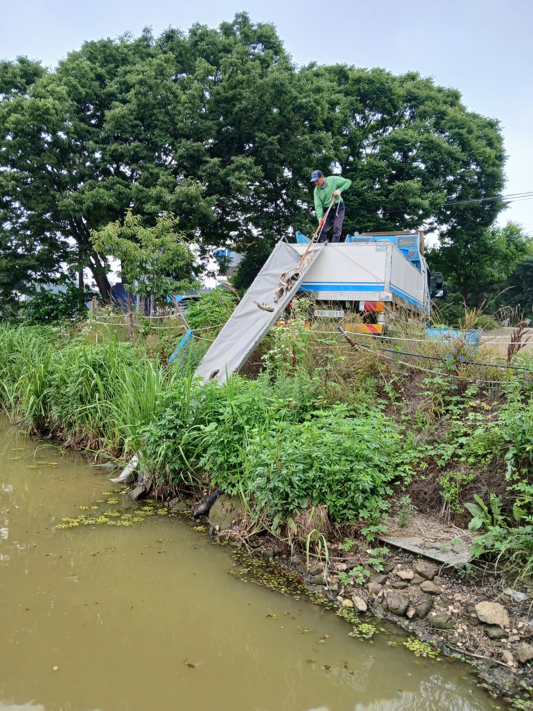 KakaoTalk_20250701_173635993_16.jpg