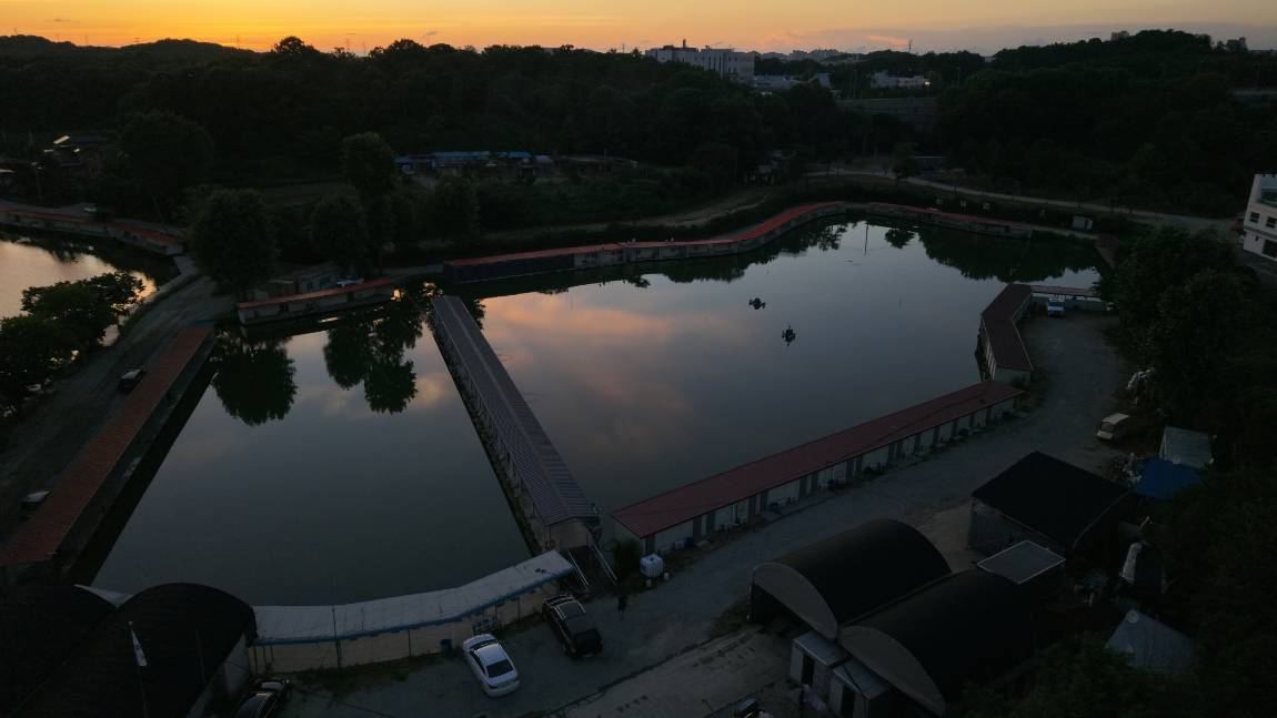 DJI_20250630195720_0108_D.JPG