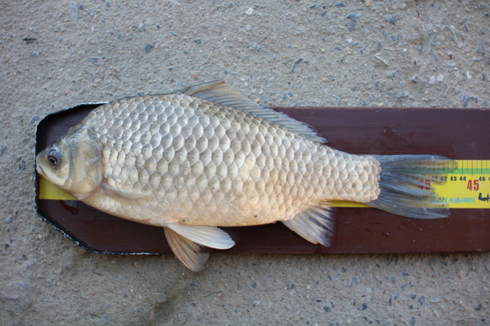 [ũ⺯ȯ]IMG_6450.JPG