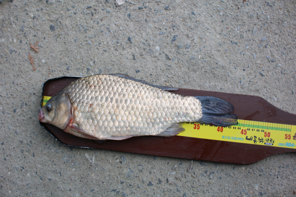 [ũ⺯ȯ]IMG_6480.JPG