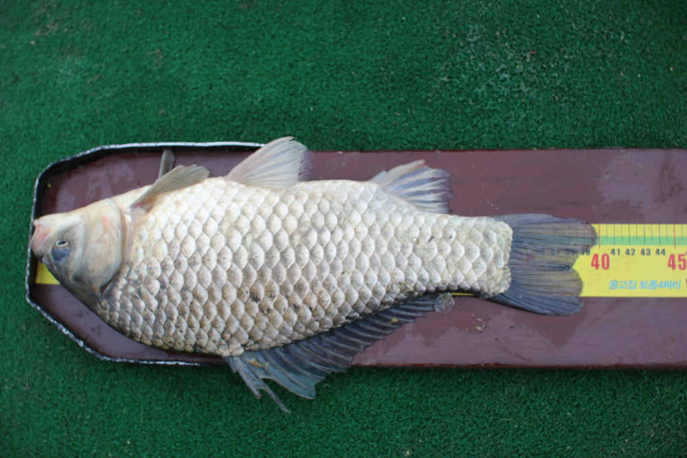 [ũ⺯ȯ]IMG_6503.JPG