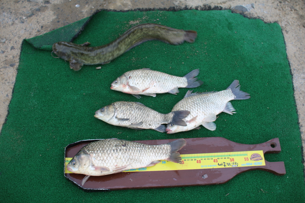 [ũ⺯ȯ]IMG_6462.JPG