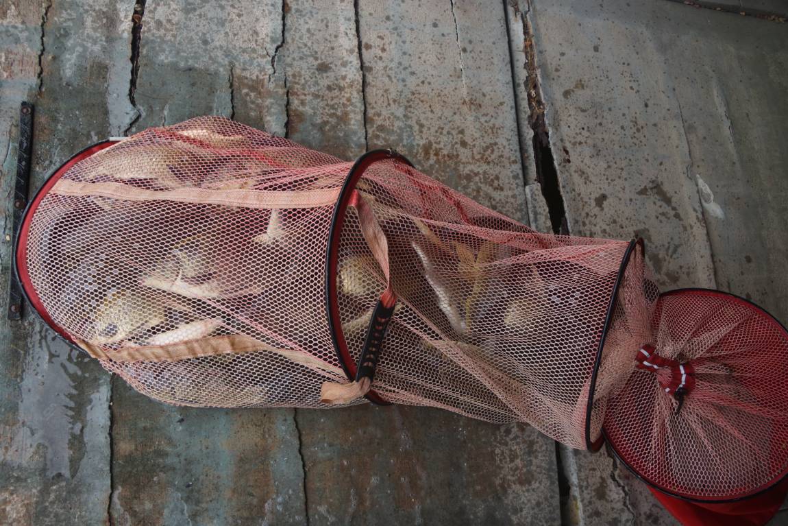 DSC01705.JPG