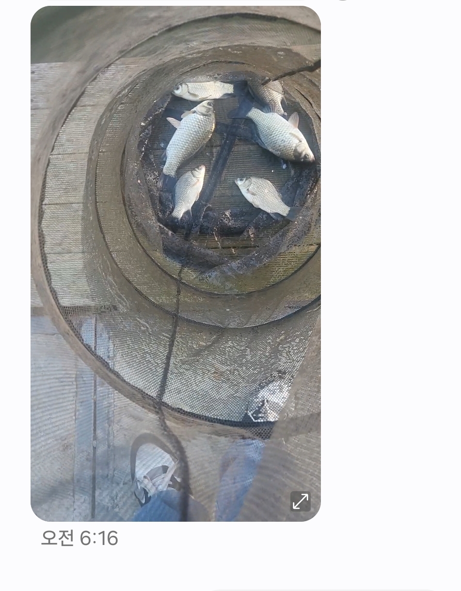 Screenshot_20250703_144252_Messages.jpg