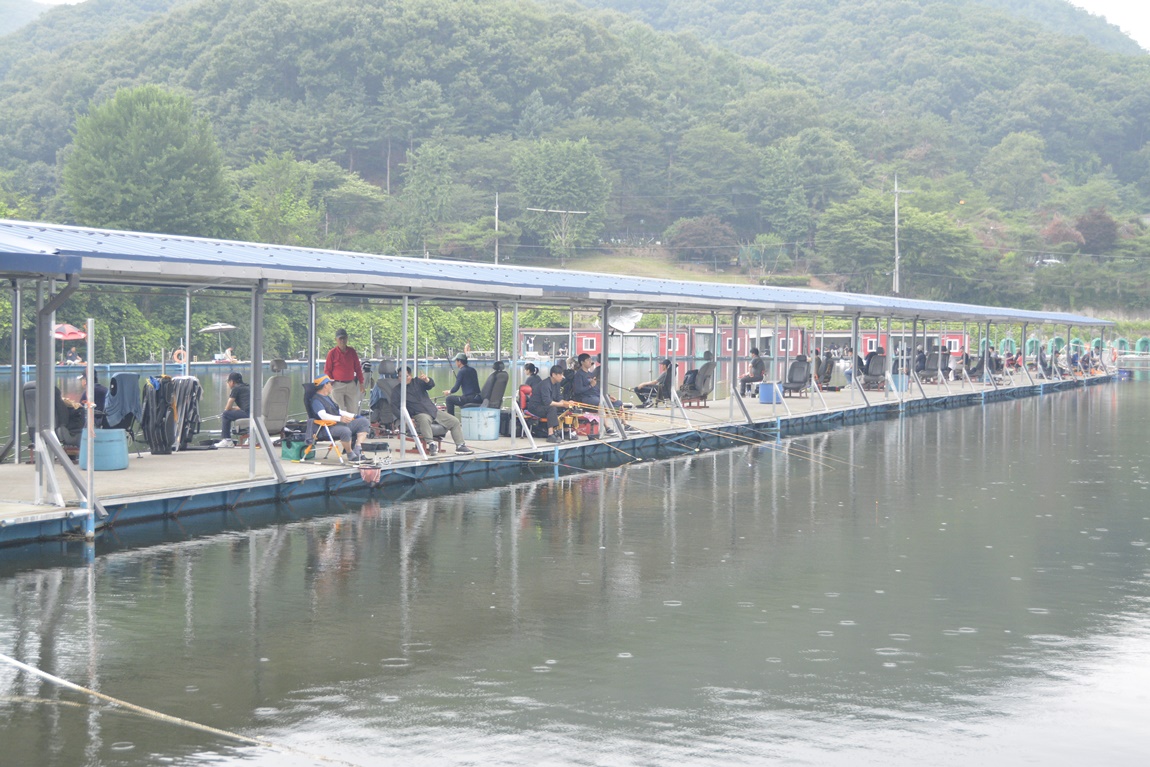 _7102059.JPG