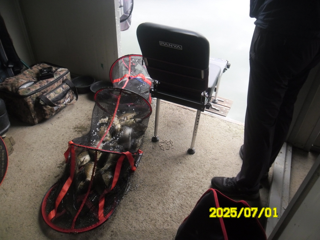 SAM_4005.JPG