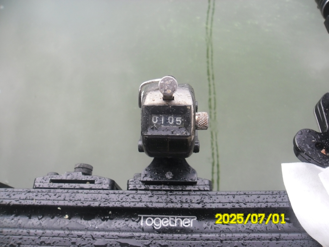 SAM_4018.JPG