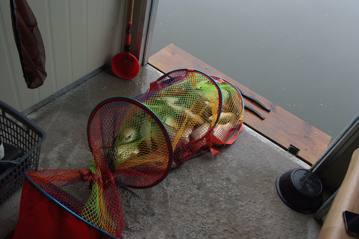 DSCF3841.jpg