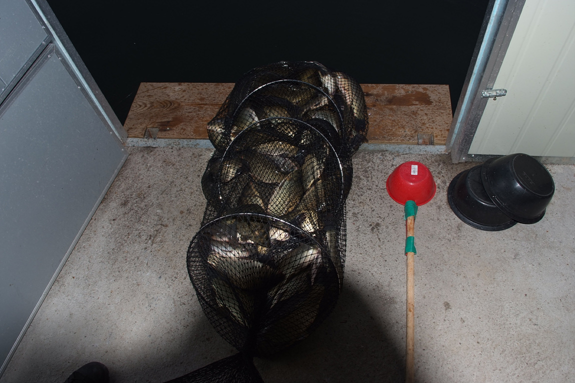 DSCF3851.jpg