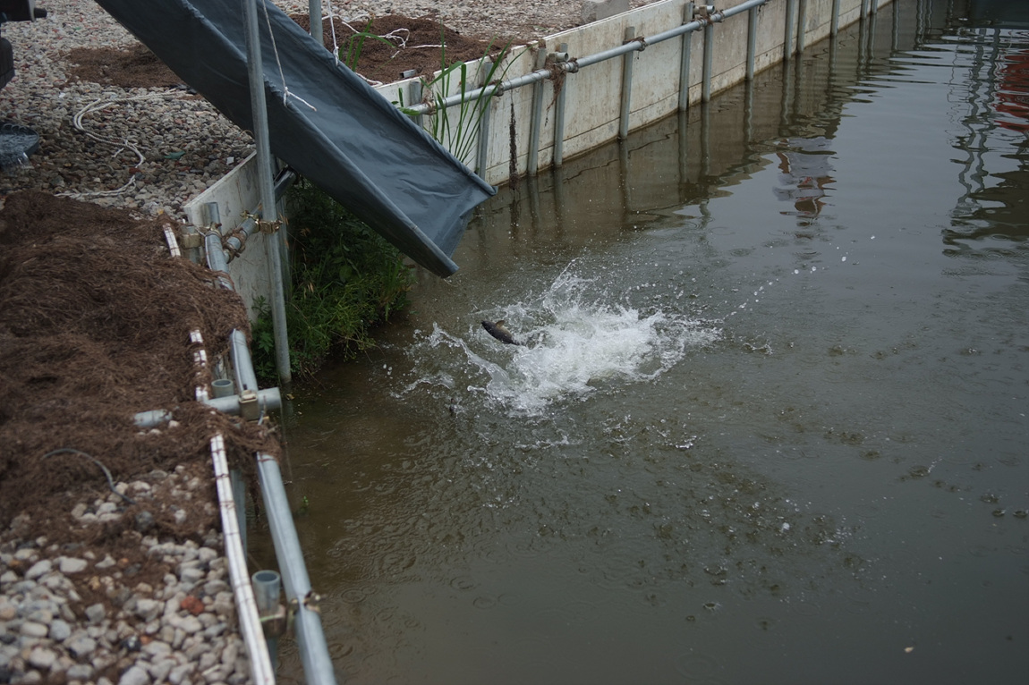 DSCF3870.jpg