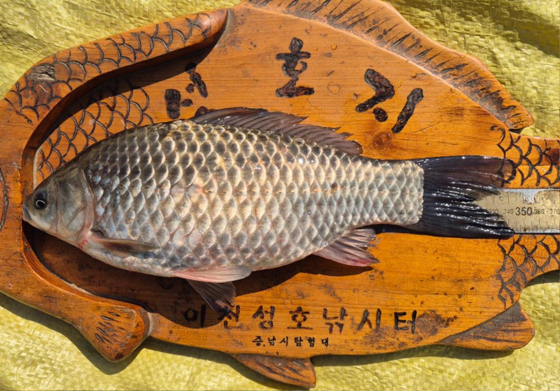 34.5 - 복사본.jpg