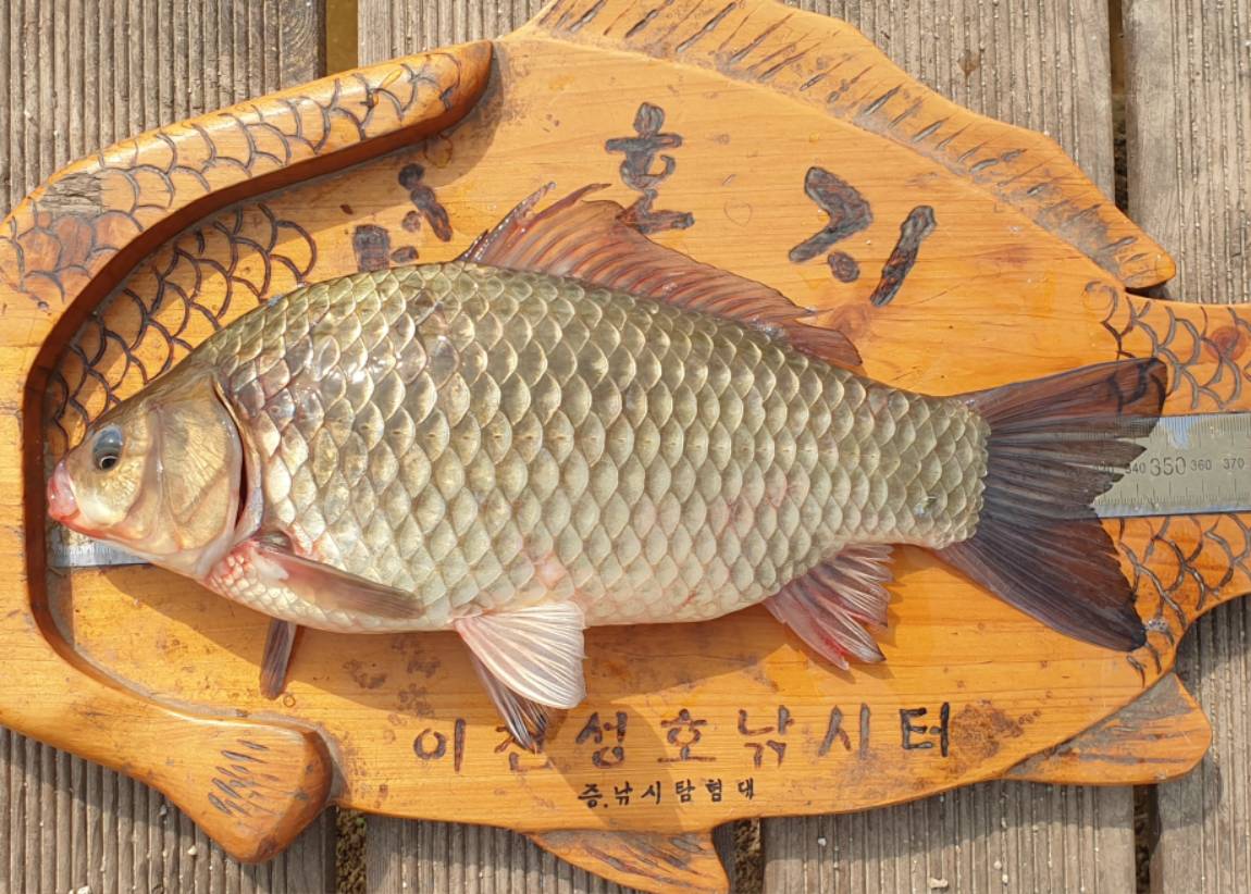 35 - 복사본.jpg