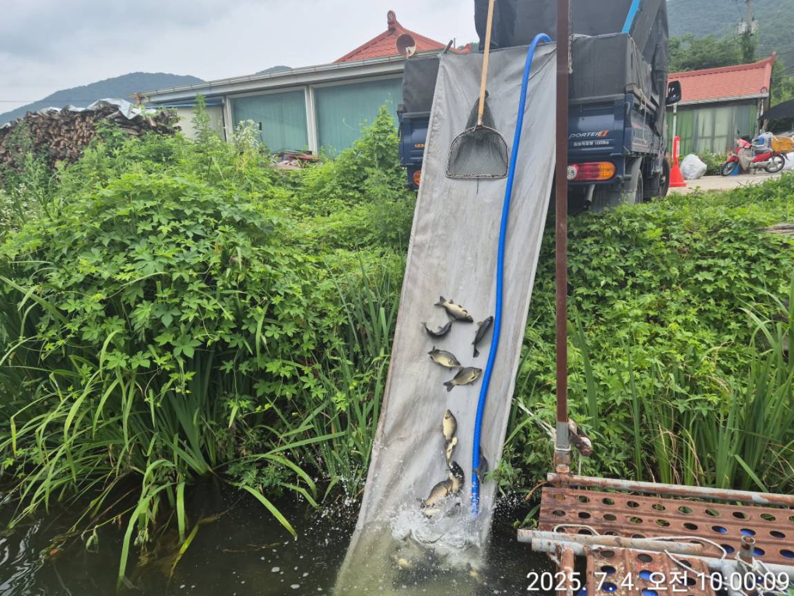 KakaoTalk_20250704_100142525_04.jpg