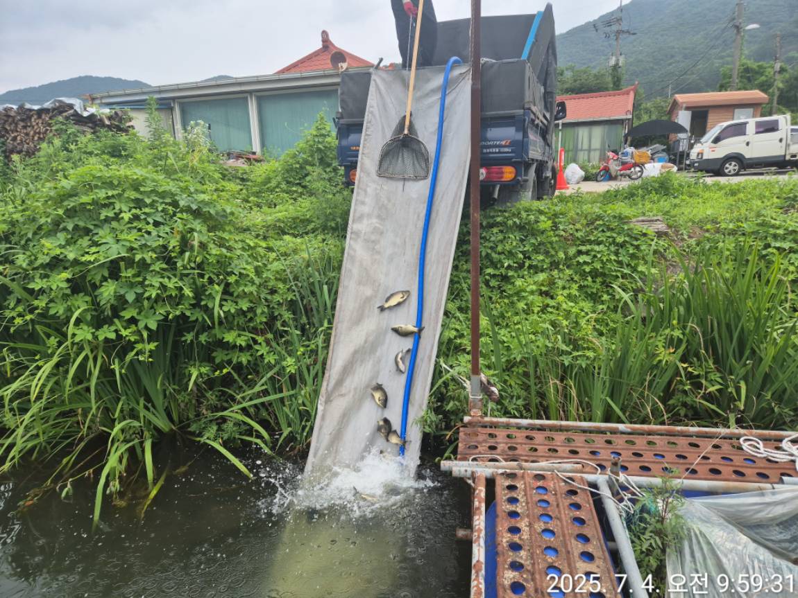 KakaoTalk_20250704_100142525_08.jpg