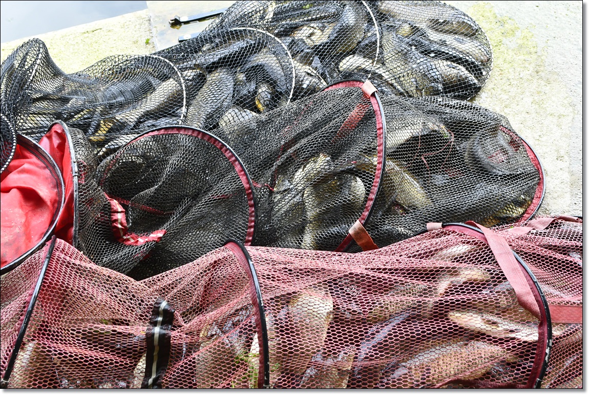 DSC_3500.JPG