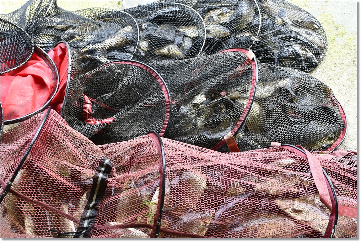 DSC_3501.JPG