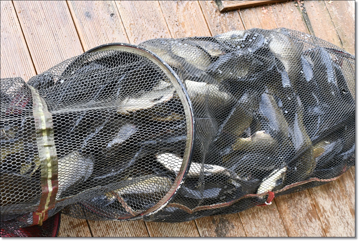 DSC_3514.JPG