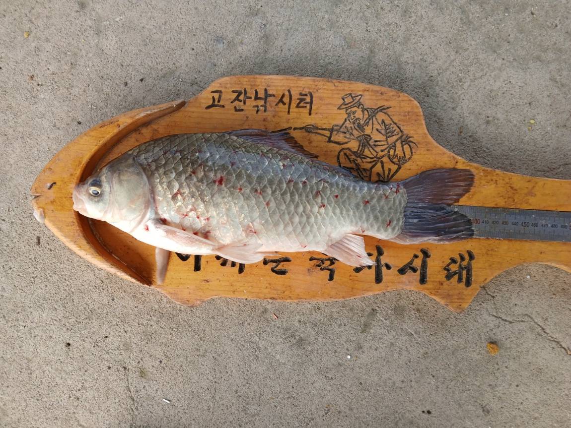 KakaoTalk_20250704_065741189_05.jpg