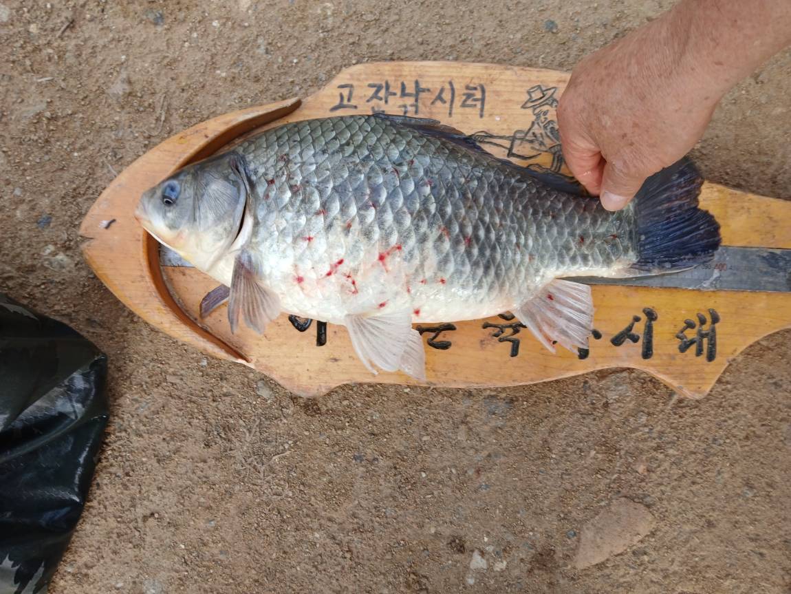 KakaoTalk_20250705_074459722_06.jpg