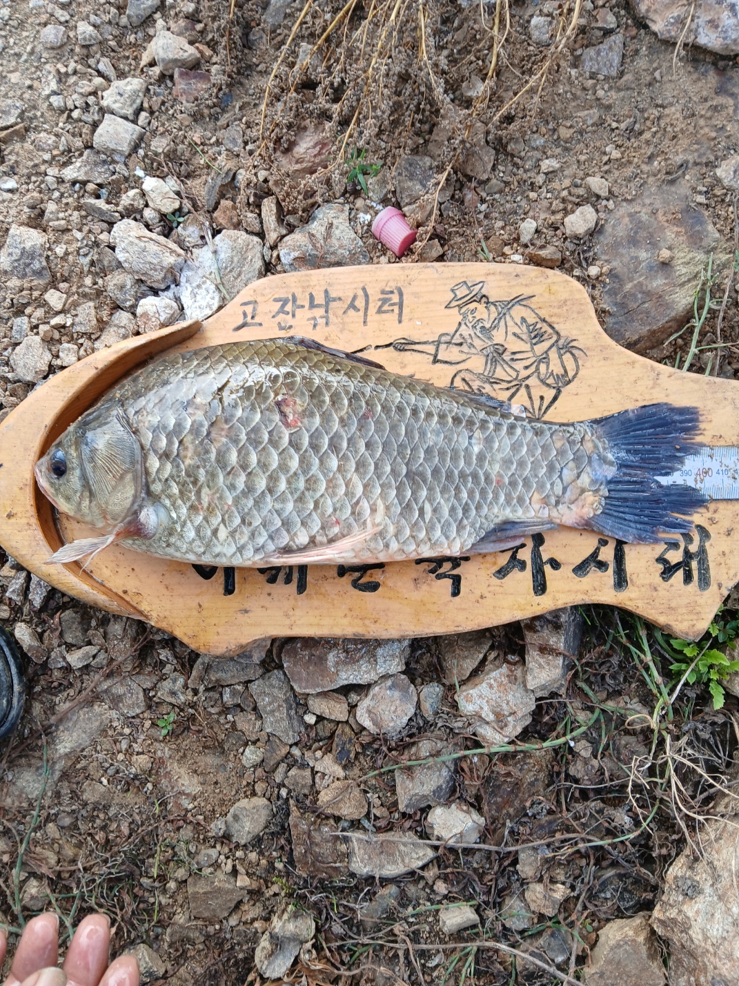 KakaoTalk_20250705_080332804_03.jpg