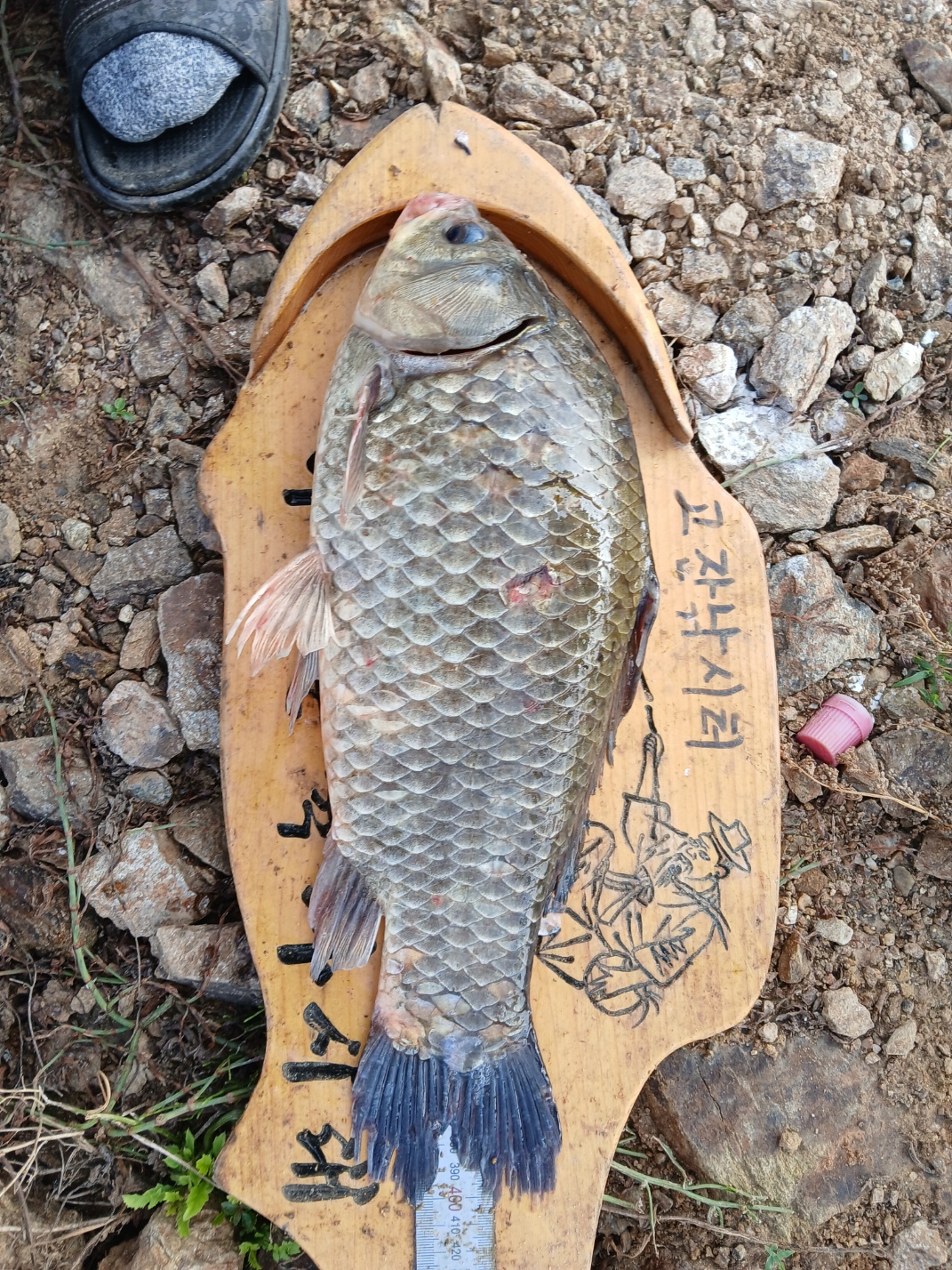 KakaoTalk_20250705_080332804_04.jpg