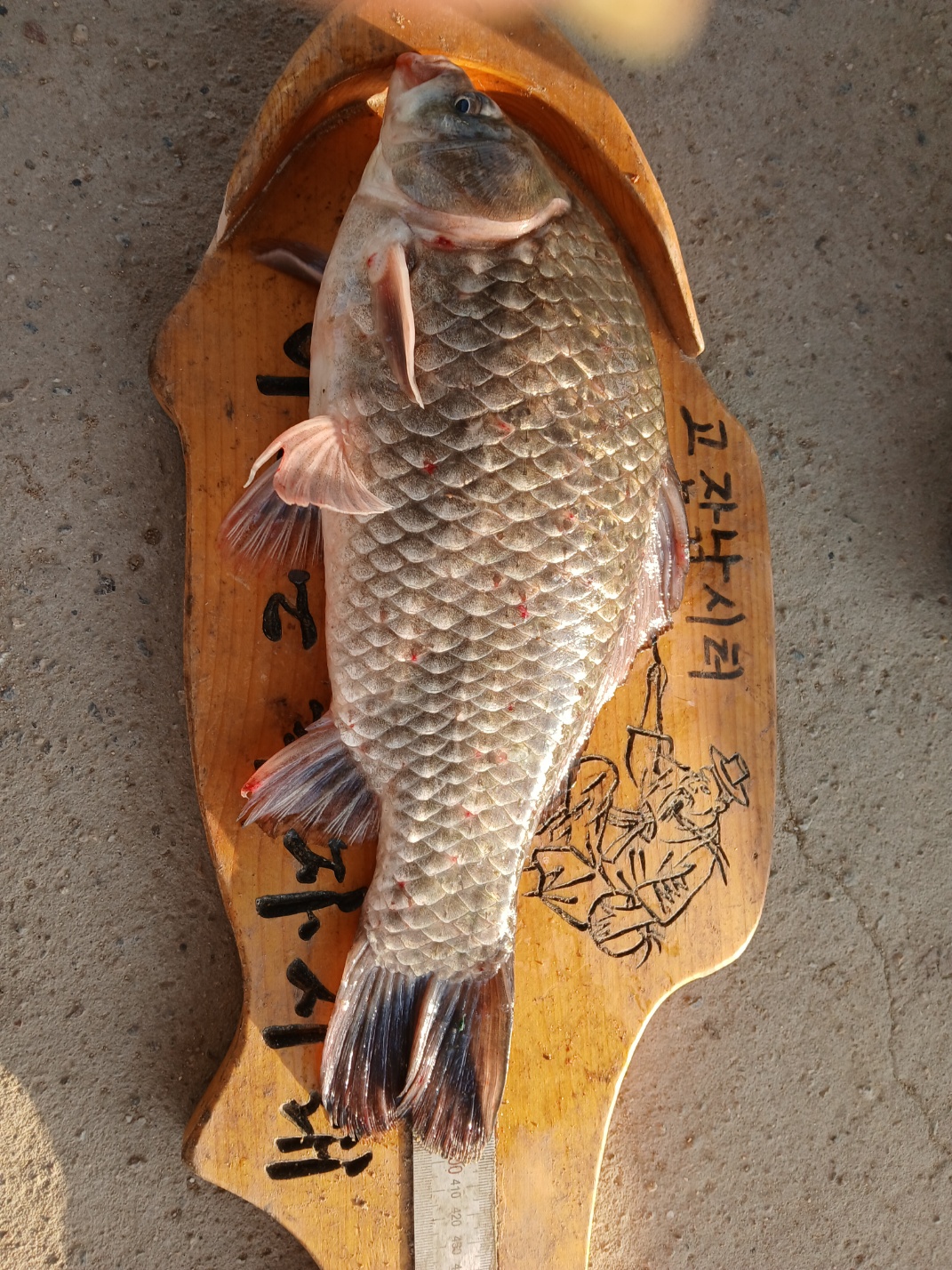 KakaoTalk_20250705_184453482_03.jpg