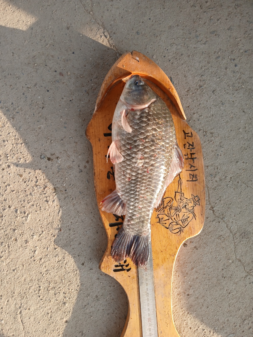 KakaoTalk_20250705_184453482_02.jpg