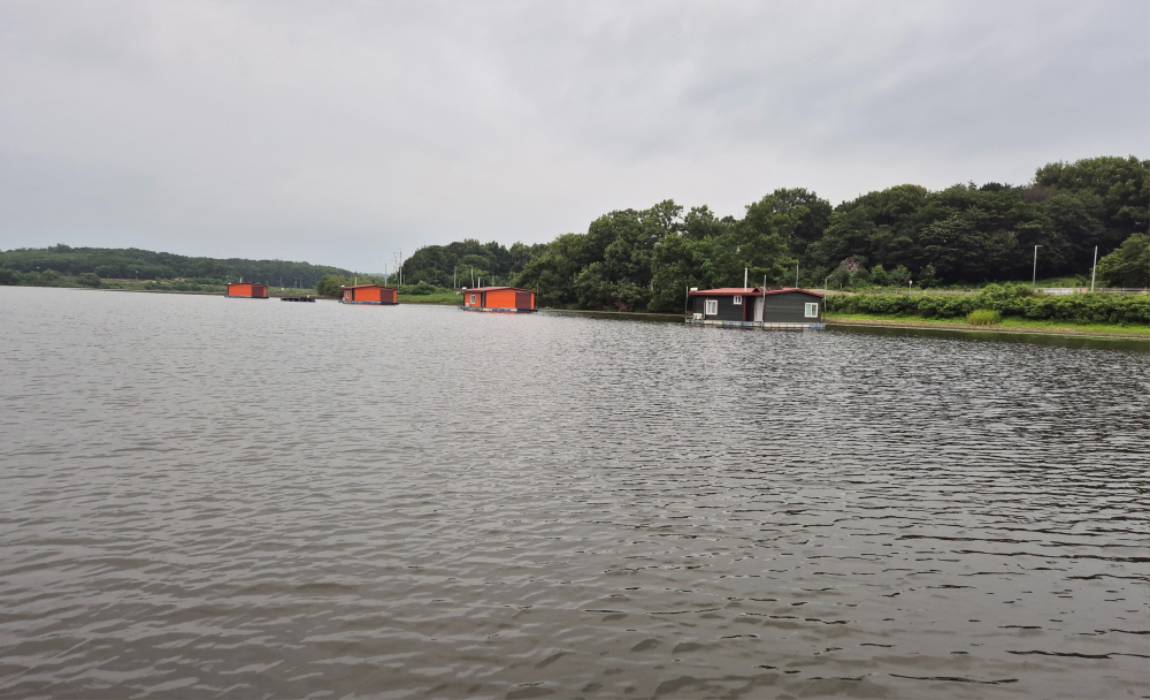 20250706_063100.jpg