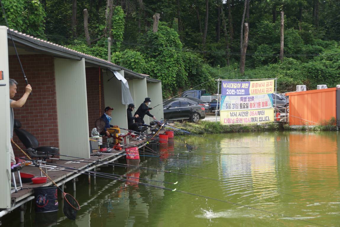 DSC01825.JPG