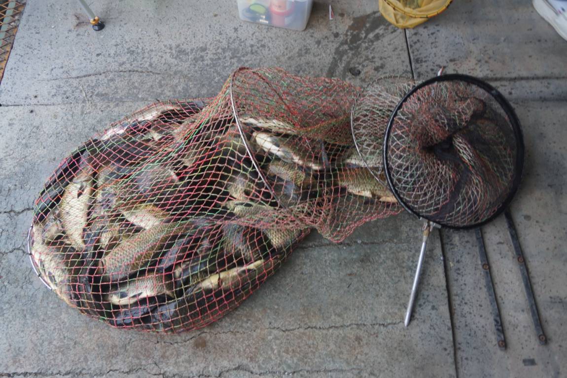 DSC01854.JPG