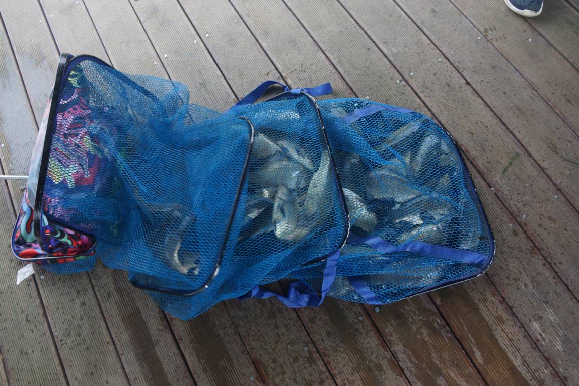 DSC01862.JPG