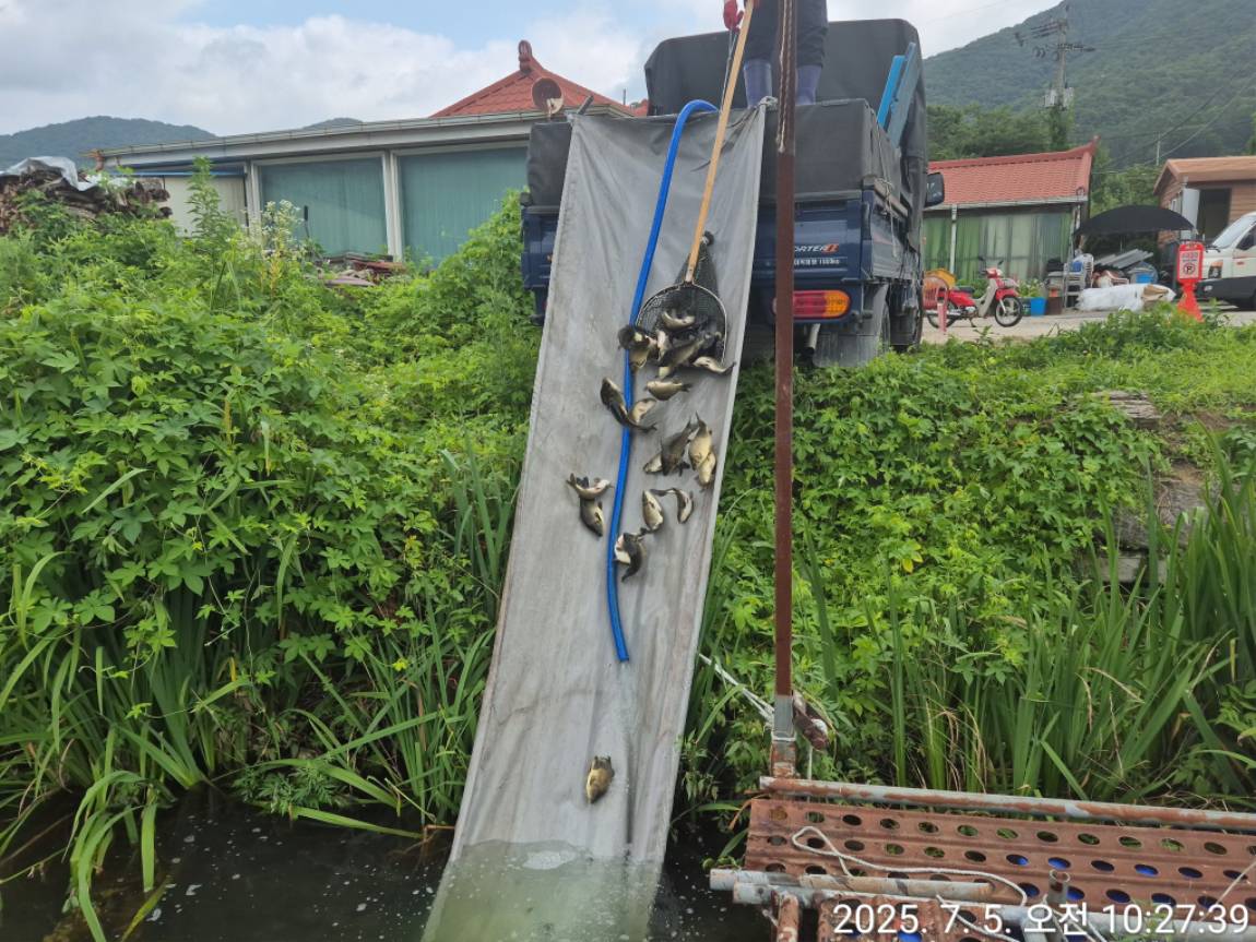 KakaoTalk_20250706_155211204_04.jpg