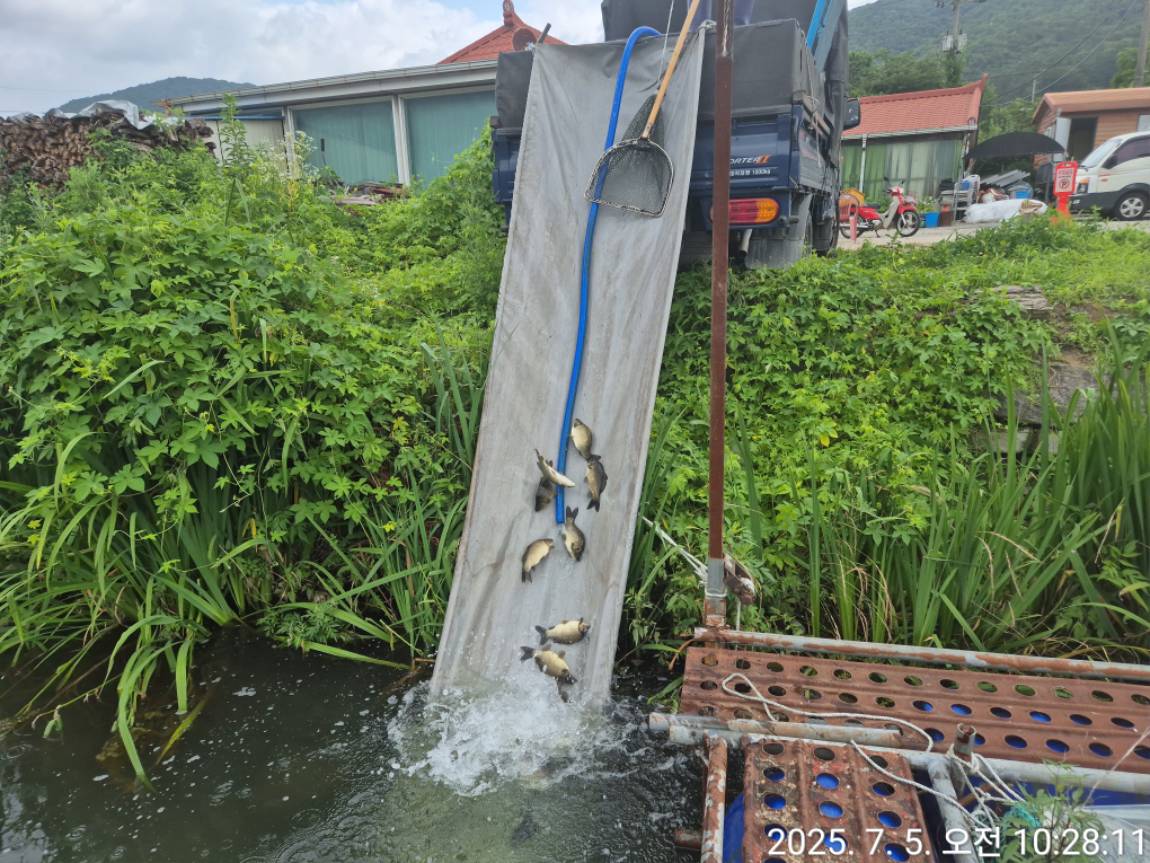 KakaoTalk_20250706_155211204_09.jpg