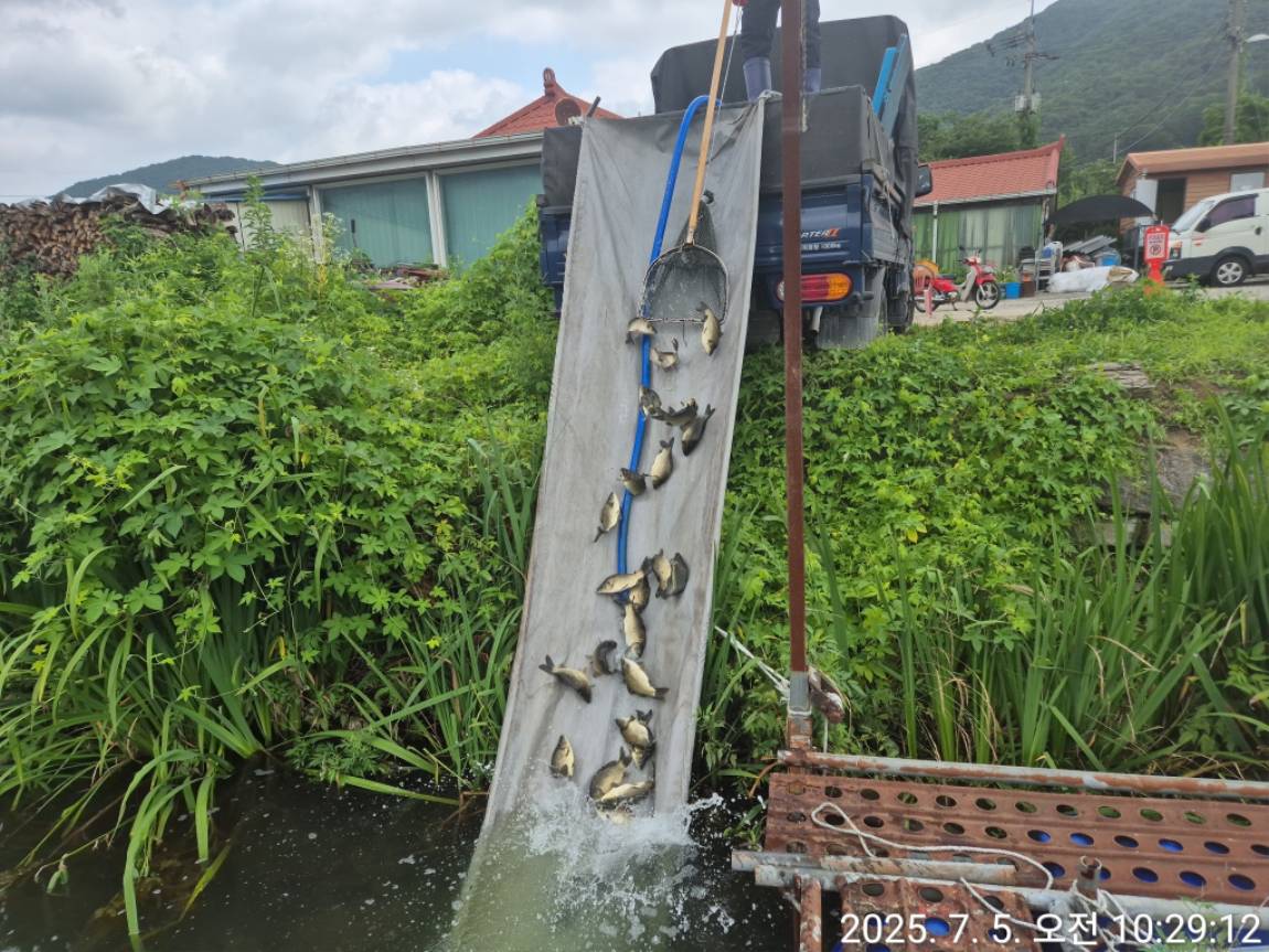 KakaoTalk_20250706_155249538_14.jpg