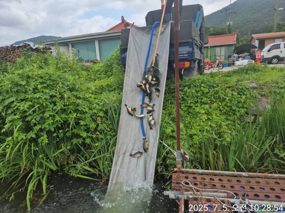 KakaoTalk_20250706_155249538_13.jpg