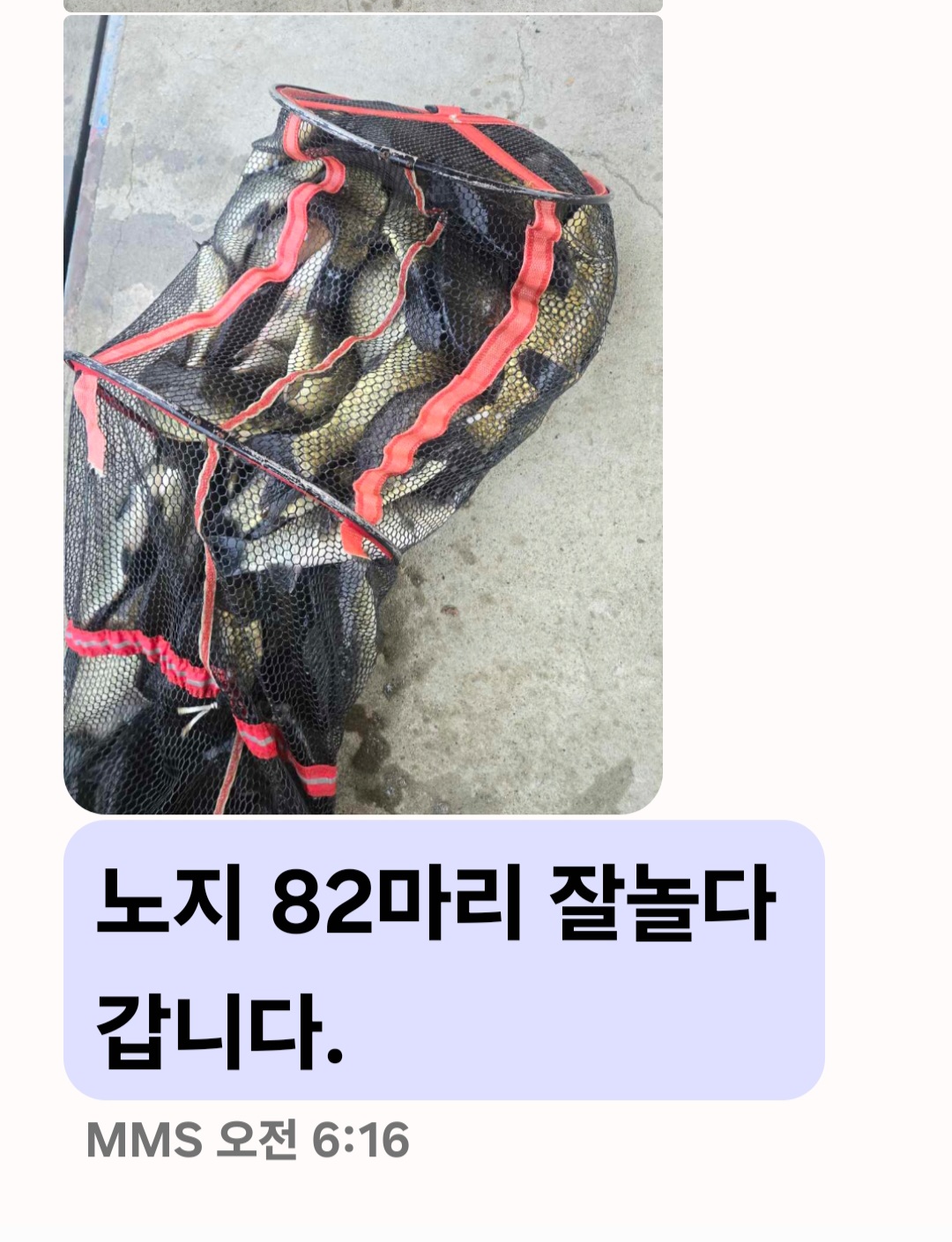 Screenshot_20250705_081205_Messages.jpg