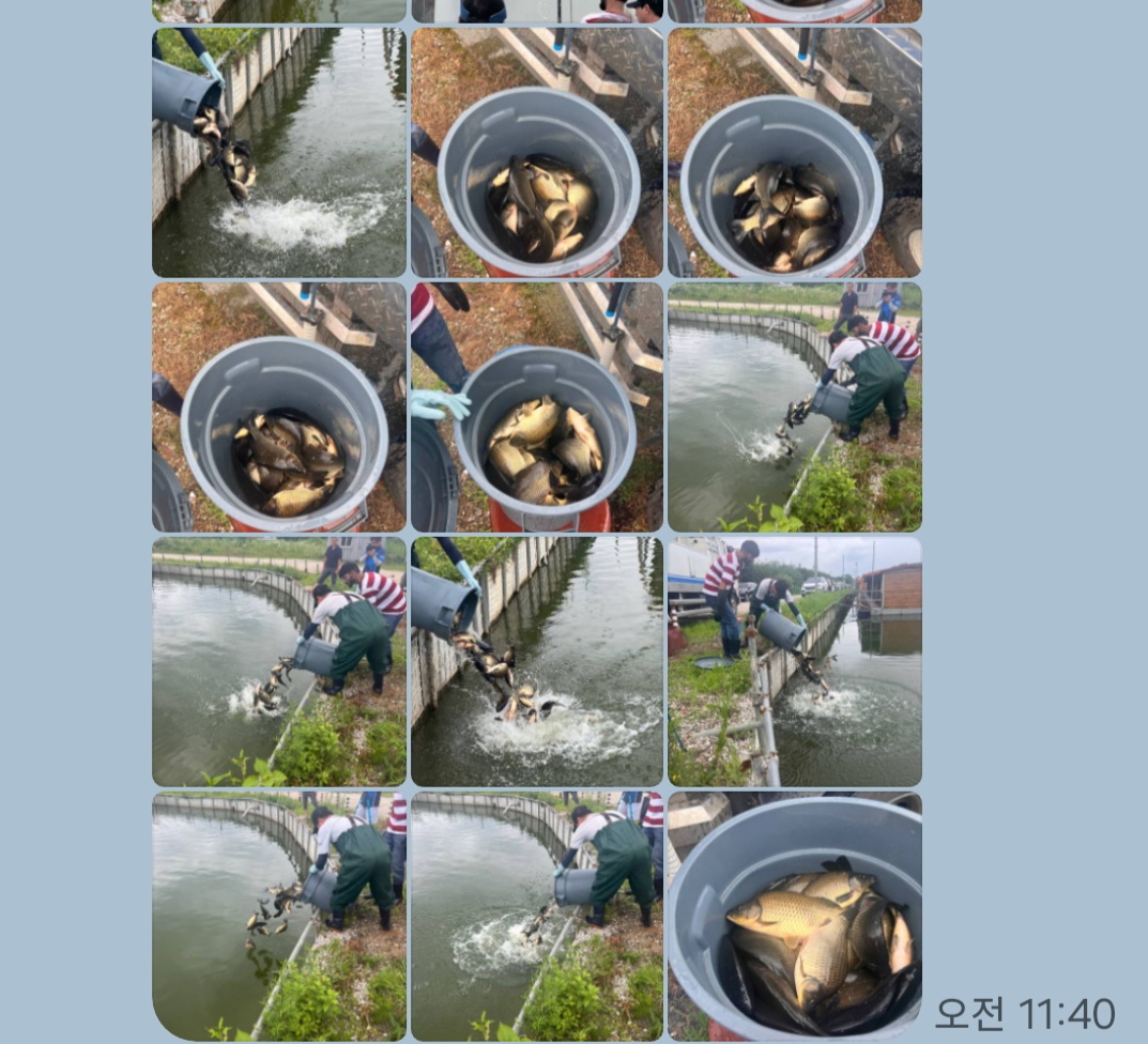 Screenshot_20250706_194327_KakaoTalk.jpg