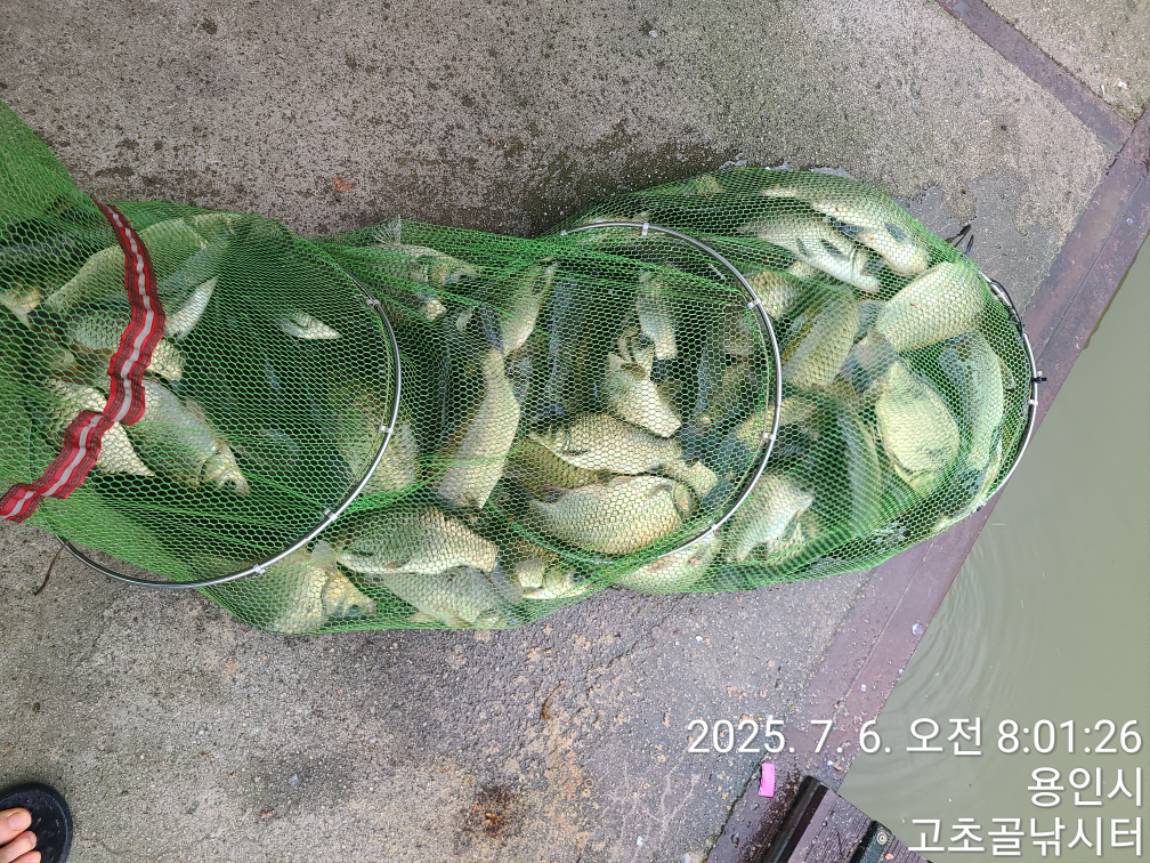 1751791802877.jpg