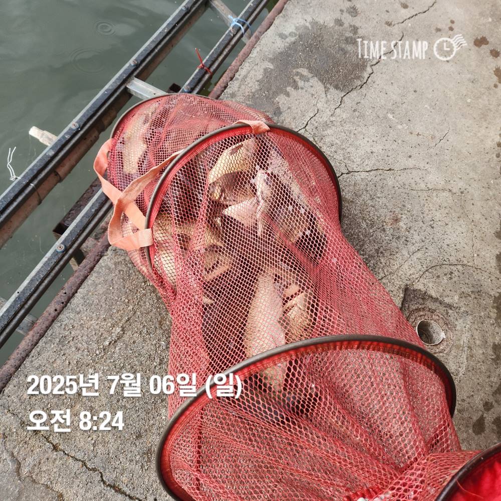 1751776653886.jpg