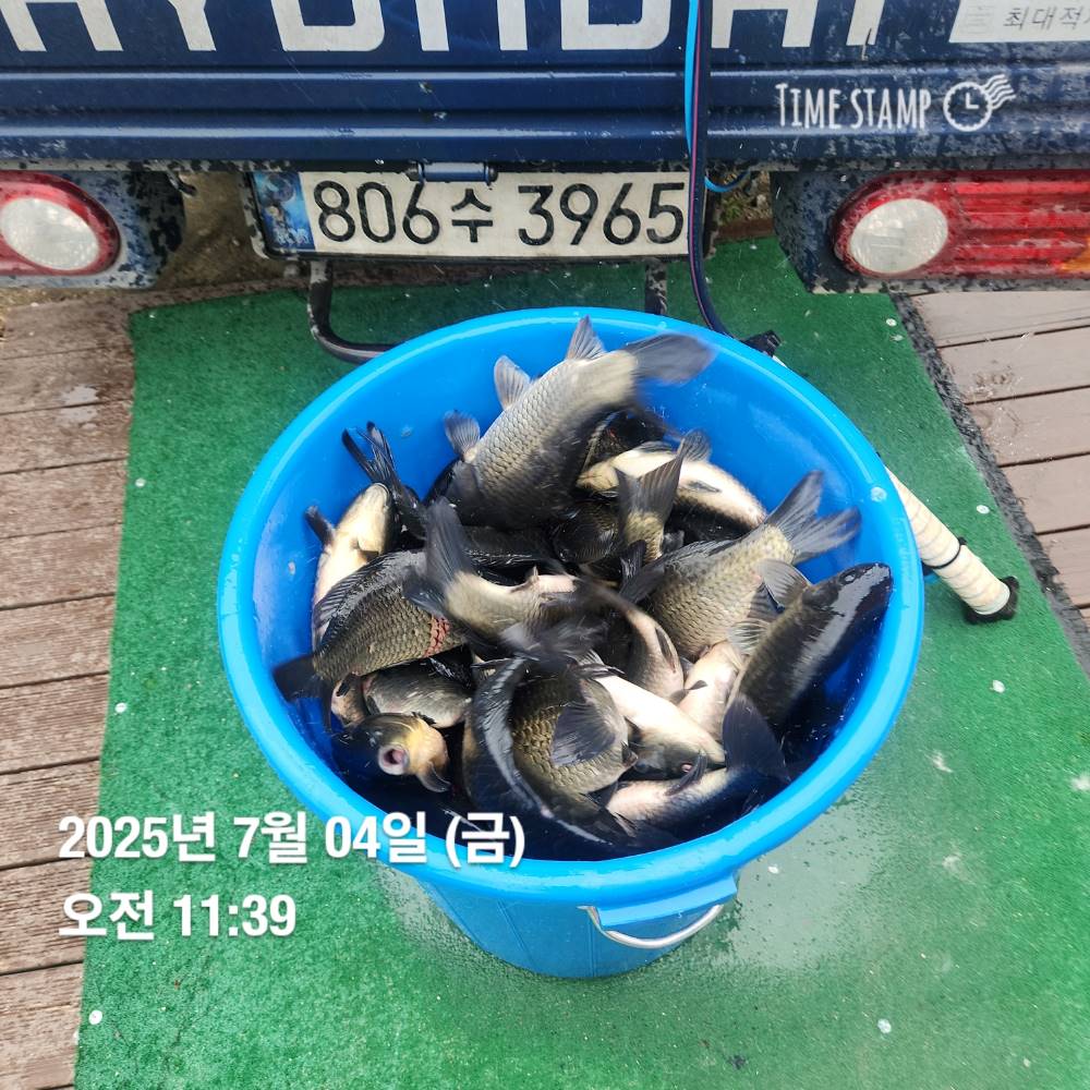 1751608577990.jpg