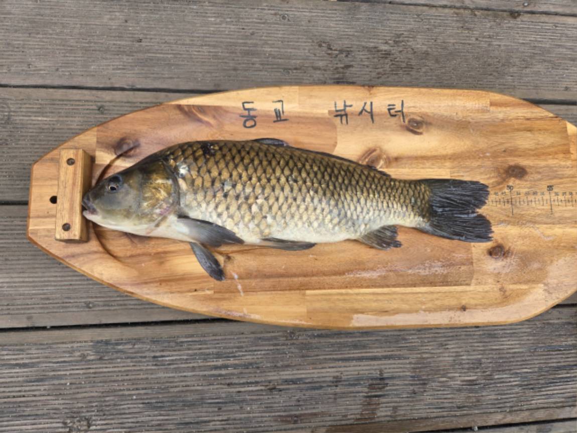 KakaoTalk_20250707_104952034_02.jpg