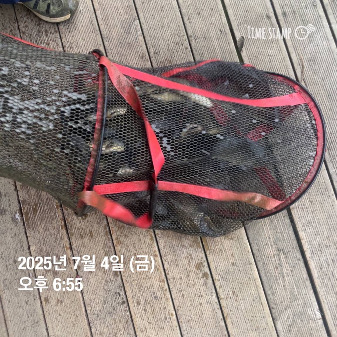 KakaoTalk_20250707_112633487_04.jpg