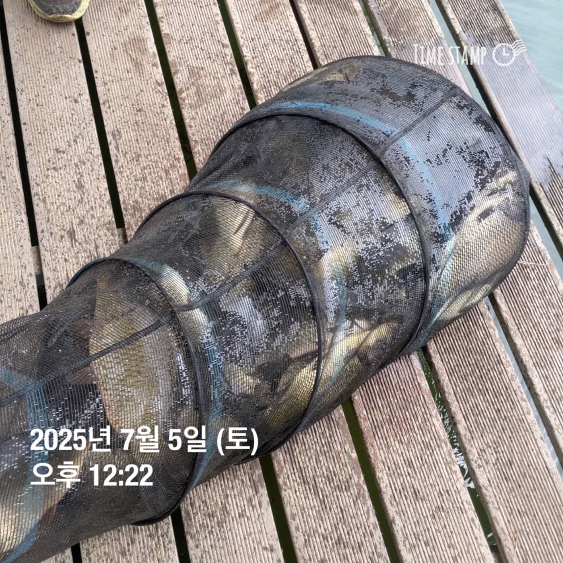 KakaoTalk_20250707_112633487_08.jpg