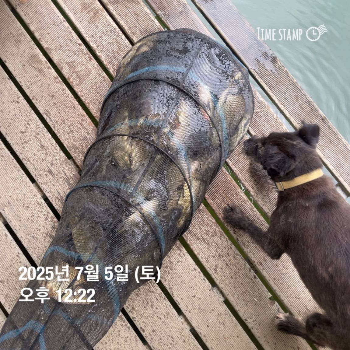 KakaoTalk_20250707_112633487_09.jpg