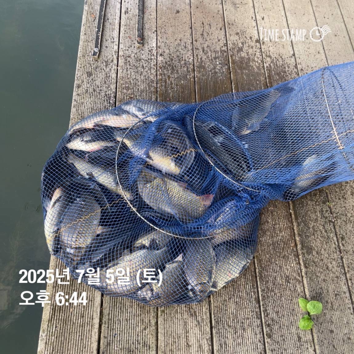 KakaoTalk_20250707_112633487_14.jpg